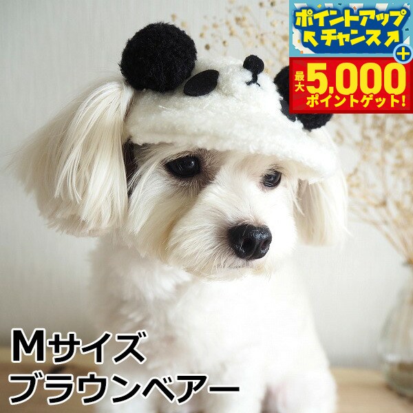 �ں���5000pt�Хå���14��10�����۸���˹�� �����ǥ󥪥֥��ǥ� ���˥ޥ�ܥ�CAP M �֥饦��٥��� ������� �İ��� ������