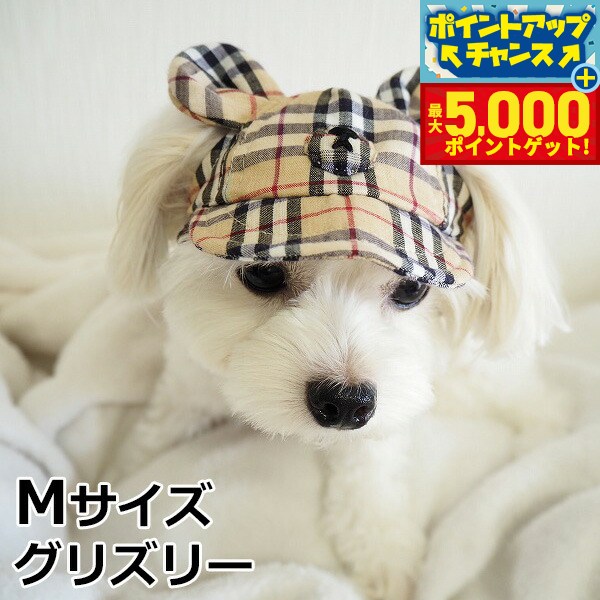 �ں���5000pt�Хå���14��10�����۸���˹�� �����ǥ󥪥֥��ǥ� ���޼�CAP M ���ꥺ�꡼ ������� �İ��� ������