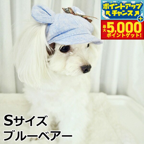 �ں���5000pt�Хå���14��10�����۸���˹�� �����ǥ󥪥֥��ǥ� ���޼���ͥ󥭥㥹���å� S������ �֥롼�٥���