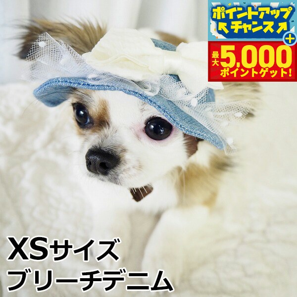 �ں���5000pt�Хå���14��10�����۸���˹�� �����ǥ󥪥֥��ǥ� �����꡼���ޡ��ϥå� XS������ �֥꡼���ǥ˥�