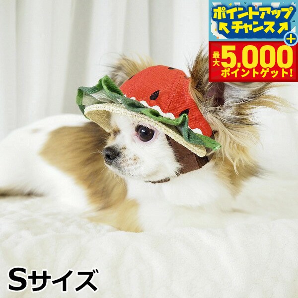 �ں���5000pt�Хå���14��10�����۸���˹�� �����ǥ󥪥֥��ǥ� �������ե��ϥå� S������