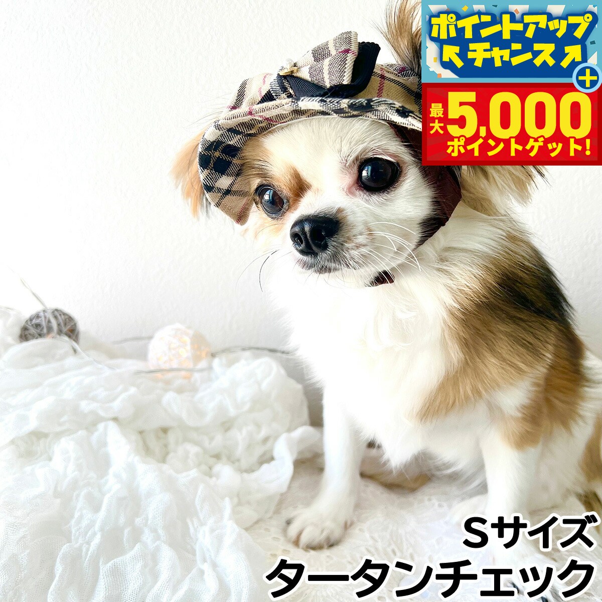 �ں���5000pt�Хå���14��10�����۸���˹�� �����ǥ󥪥֥��ǥ� �Х��åȥϥå� S ������������å�������̵����