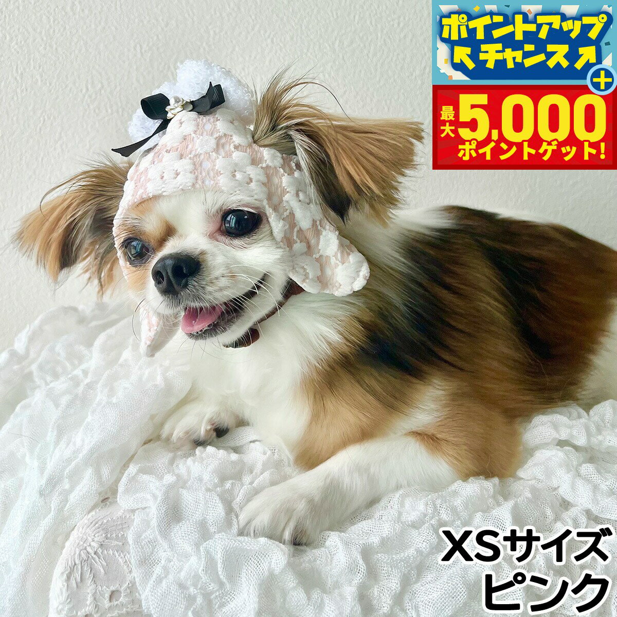 �ں���5000pt�Хå���14��10�����۸���˹�� �����ǥ󥪥֥��ǥ� ����ꥢ�ܥ�ѥ����å� XS �ԥ󥯡�����̵����