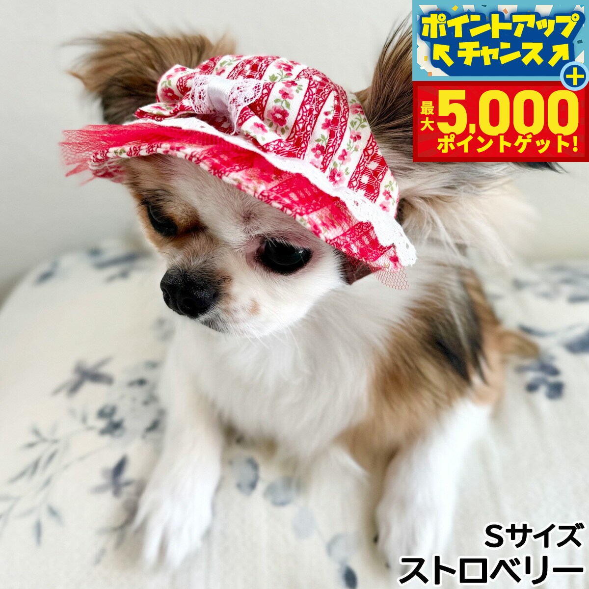 �ں���5000pt�Хå���14��10�����۸���˹�� �����ǥ󥪥֥��ǥ� ��֥꡼��ܥ�ϥå� S ���ȥ��٥꡼������̵����