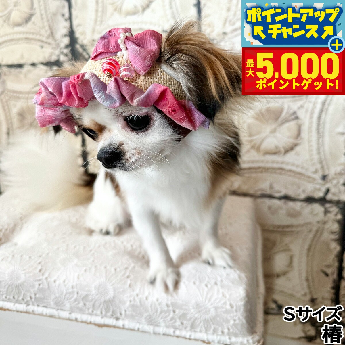 �ں���5000pt�Хå���14��10�����۸���˹�� �����ǥ󥪥֥��ǥ� �衼�衼��ܥ�ϥå� S �ء�����̵����