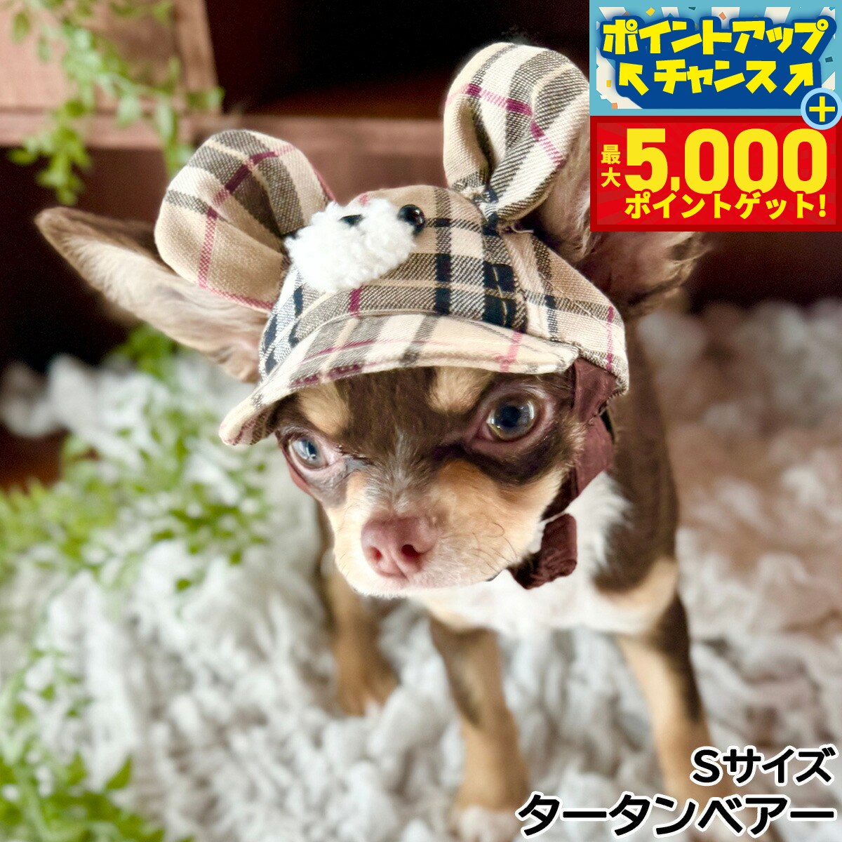 �ں���5000pt�Хå���14��10�����۸���˹�� �����ǥ󥪥֥��ǥ� �٥�—����å� S ��������٥�—������̵��...