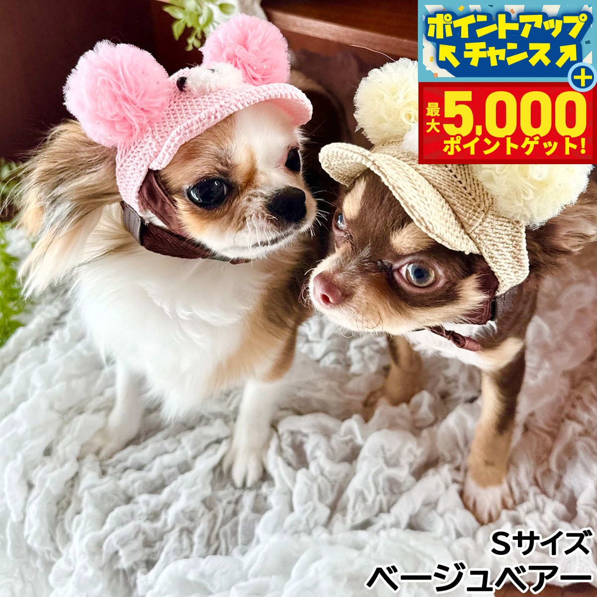 �ں���5000pt�Хå���14��10�����۸���˹�� �����ǥ󥪥֥��ǥ� ���饭�餳���ޥ���å� S �١�����٥���������̵����