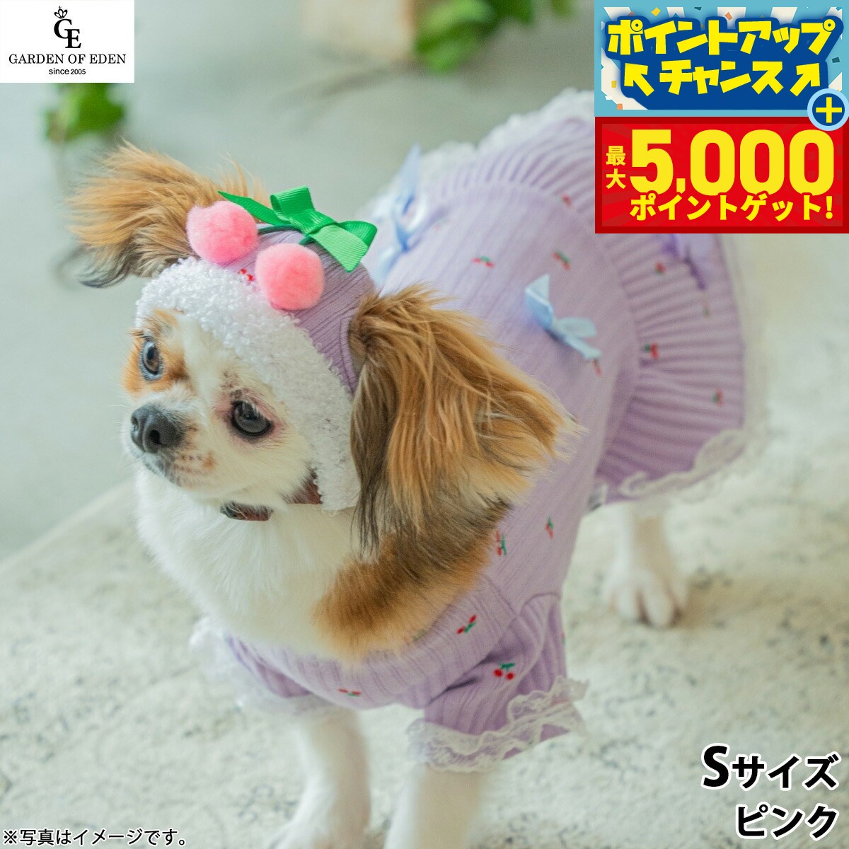 �ں���5000pt�Хå���14��10�����۸���˹�� �����ǥ󥪥֥��ǥ� �������ܥ˥å�CAP S �ԥ󥯡�����̵���� ������� �ե��å���...