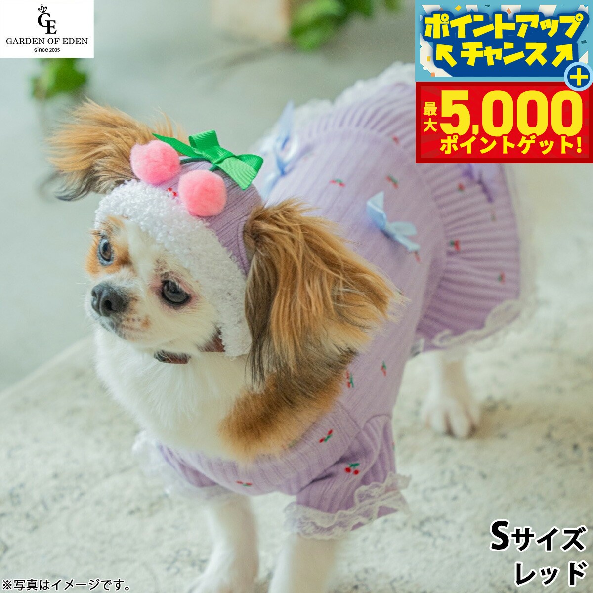 �ں���5000pt�Хå���14��10�����۸���˹�� �����ǥ󥪥֥��ǥ� �������ܥ˥å�CAP S ��åɡ�����̵���� ������� �ե��å���...