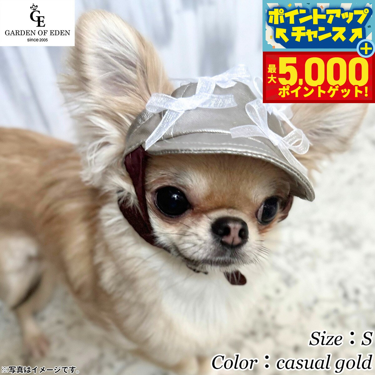 �ں���5000pt�Хå���14��10�����۸���˹�� �����ǥ󥪥֥��ǥ� Garden of Eden �ե��˥å����ѡ��륭��å� S cas...