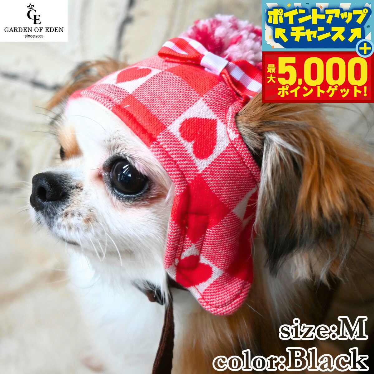 �ں���5000pt�Хå���14��10�����۸���˹�� �����ǥ󥪥֥��ǥ� �ϡ��ȥ����å��˥å�˹ M �֥�å�