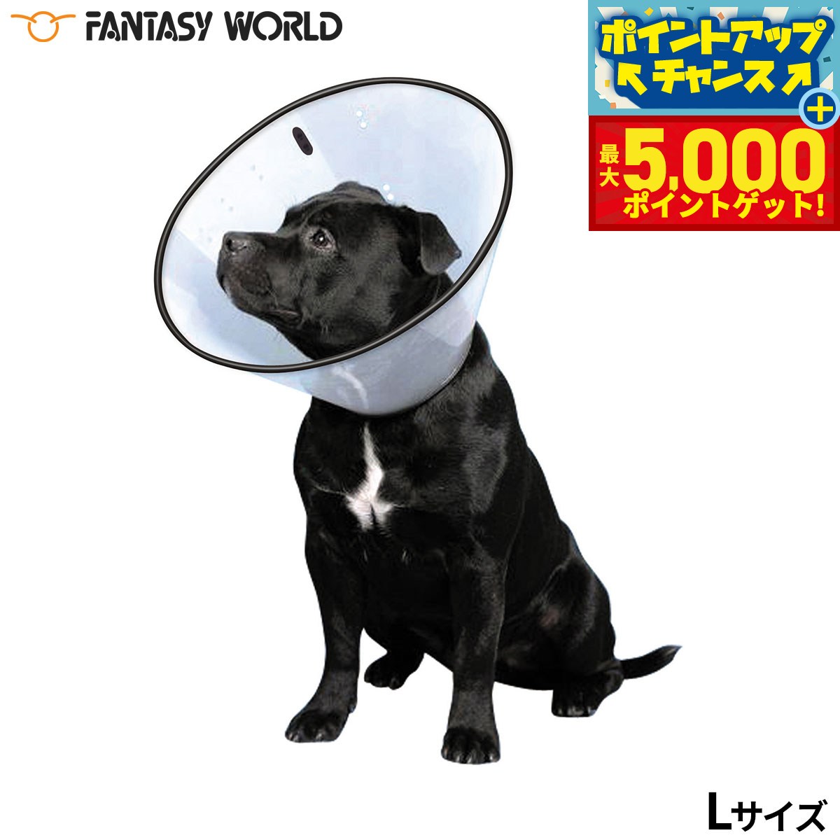 �ں���5000pt�Хå���14��10�����ۥե��󥿥������� VET���顼 L ���ꥢ ���ꥶ�٥����顼 ��� ���� �ݸ� �� ǭ