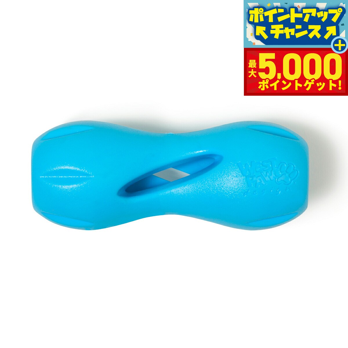 【最大5000ptバック！14日10時〜】ウェストポウ ゾゴフレックス クイズル S アクアブルー