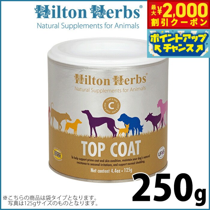 �ں���2000��OFF�����ݥ󡪡�Ź��ݥ���Ⱥ���54�ܡ������ѡ�SALE���ۥҥ�ȥ�ϡ��� �ȥåץ����� 250g ���ץ���� �ϡ��� ���� ���ӤΥ��ݡ���...