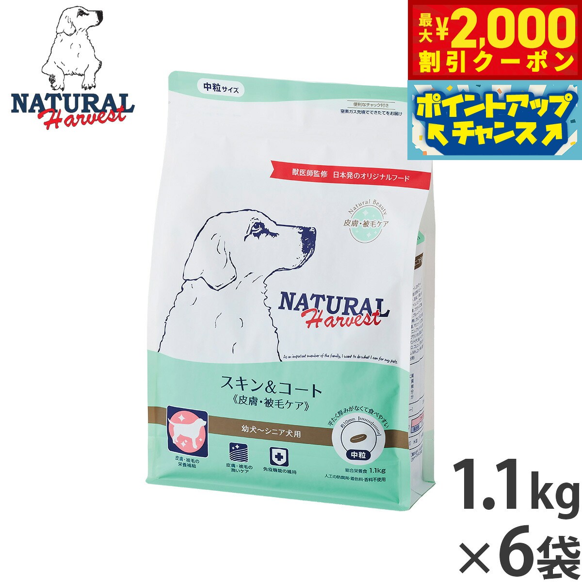 �ں���2000��OFF�����ݥ󡪡�Ź��ݥ���Ⱥ���54�ܡ������ѡ�SALE���ۥʥ�����ϡ��٥��� �ɥå��ա��� ������������� ���� ���ӥ��� 1.1kg��6...