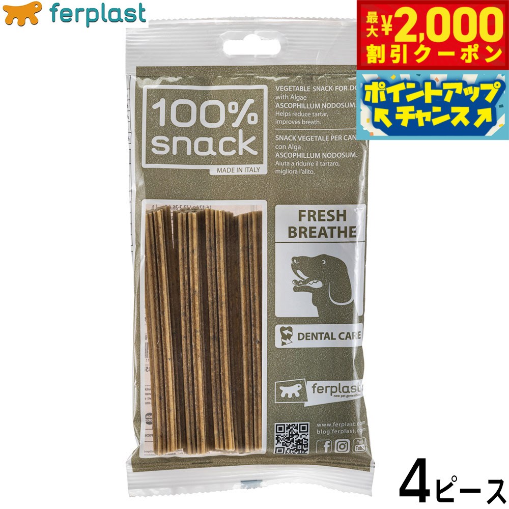 【最大2000円OFFクーポン！＆店内ポイント最大52倍！本日限定！】ファープラスト 犬用おやつ ベジタリアンデンタルスナック スノーフレーク アスコフィラン M 4ピース デンタルガム デンタルケア 歯磨きガム