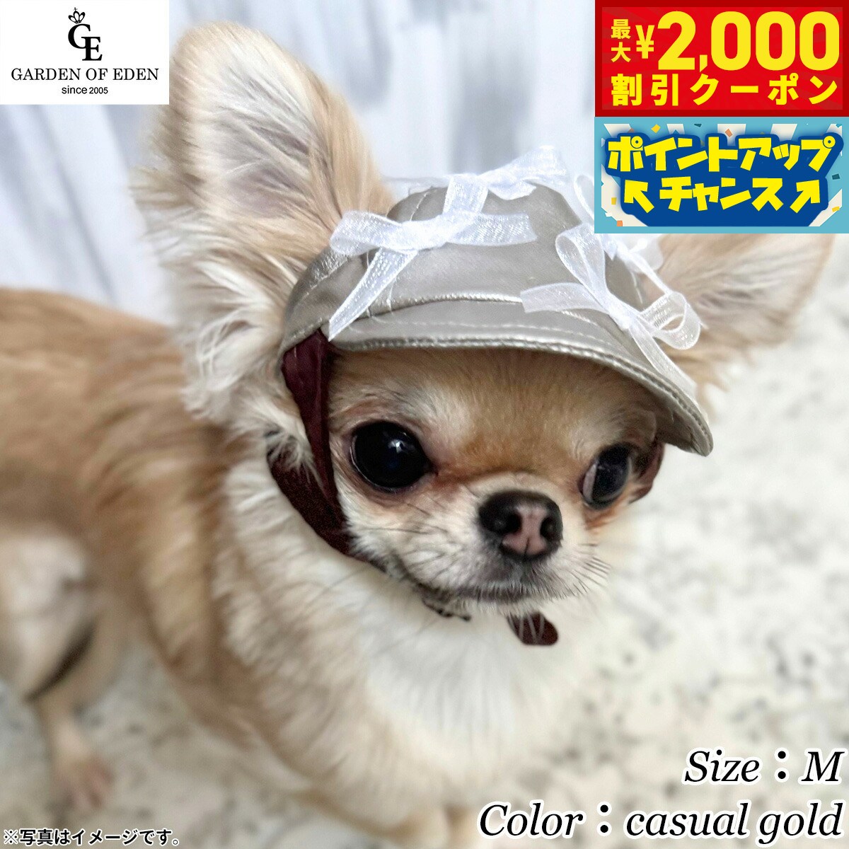 【最大2000円OFFクーポン！＆店内ポイント最大52倍！本日限定！】犬の帽子 ガーデンオブエデン Garden of Eden フェニックスパールキャップ M casual gold ファッション おしゃれ