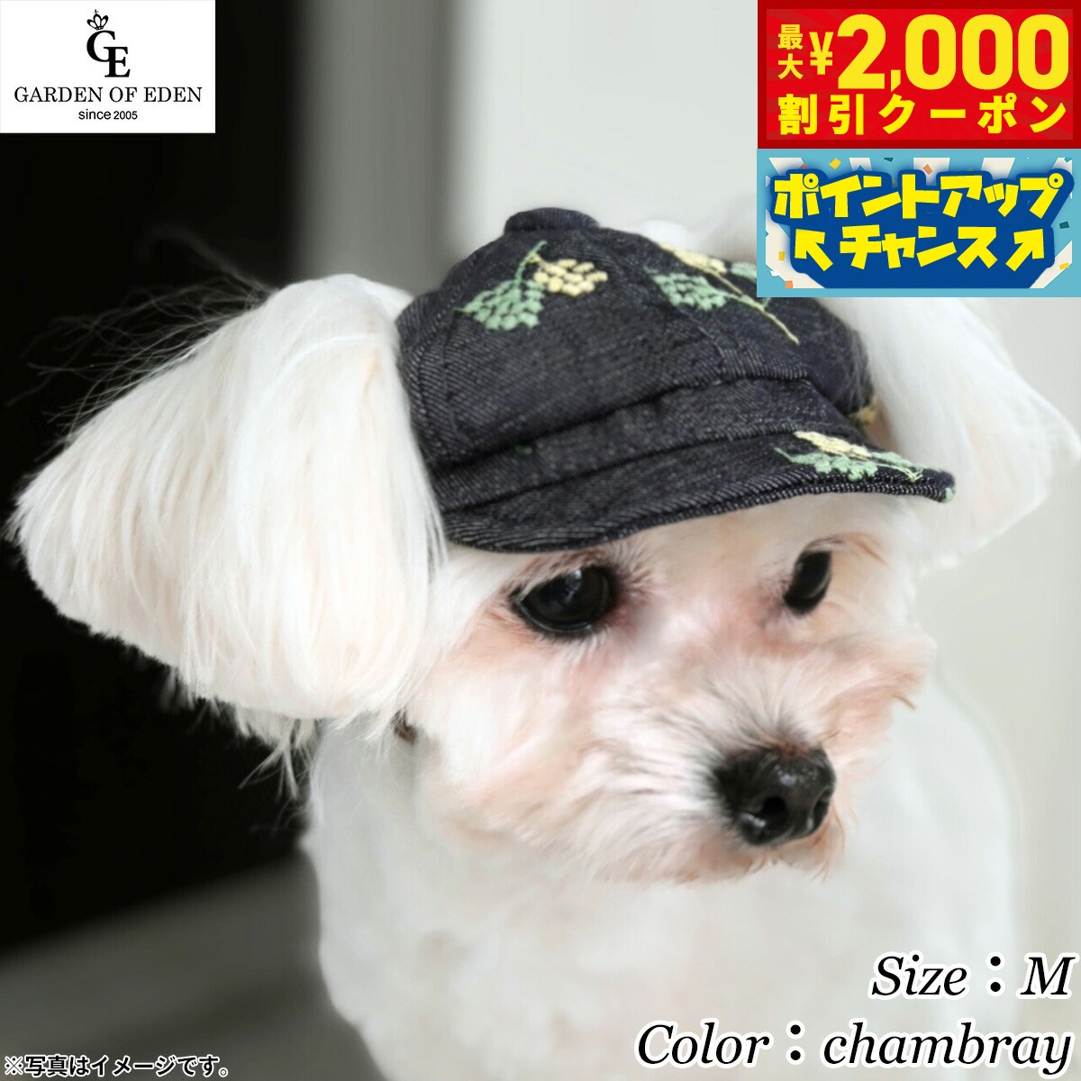 【最大2000円OFFクーポン！＆店内ポイント最大52倍！本日限定！】犬の帽子 ガーデンオブエデン Garden of Eden シャンブレーキャスケット M chambray ファッション おしゃれ 熱中対策