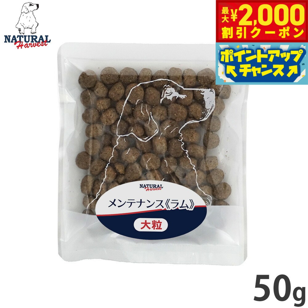 【最大2000円OFFクーポン！＆店内ポイント最大52倍！本日限定！】ナチュラルハーベスト ドッグフード メンテナンス ラム 50g 無添加 犬用 日本専用