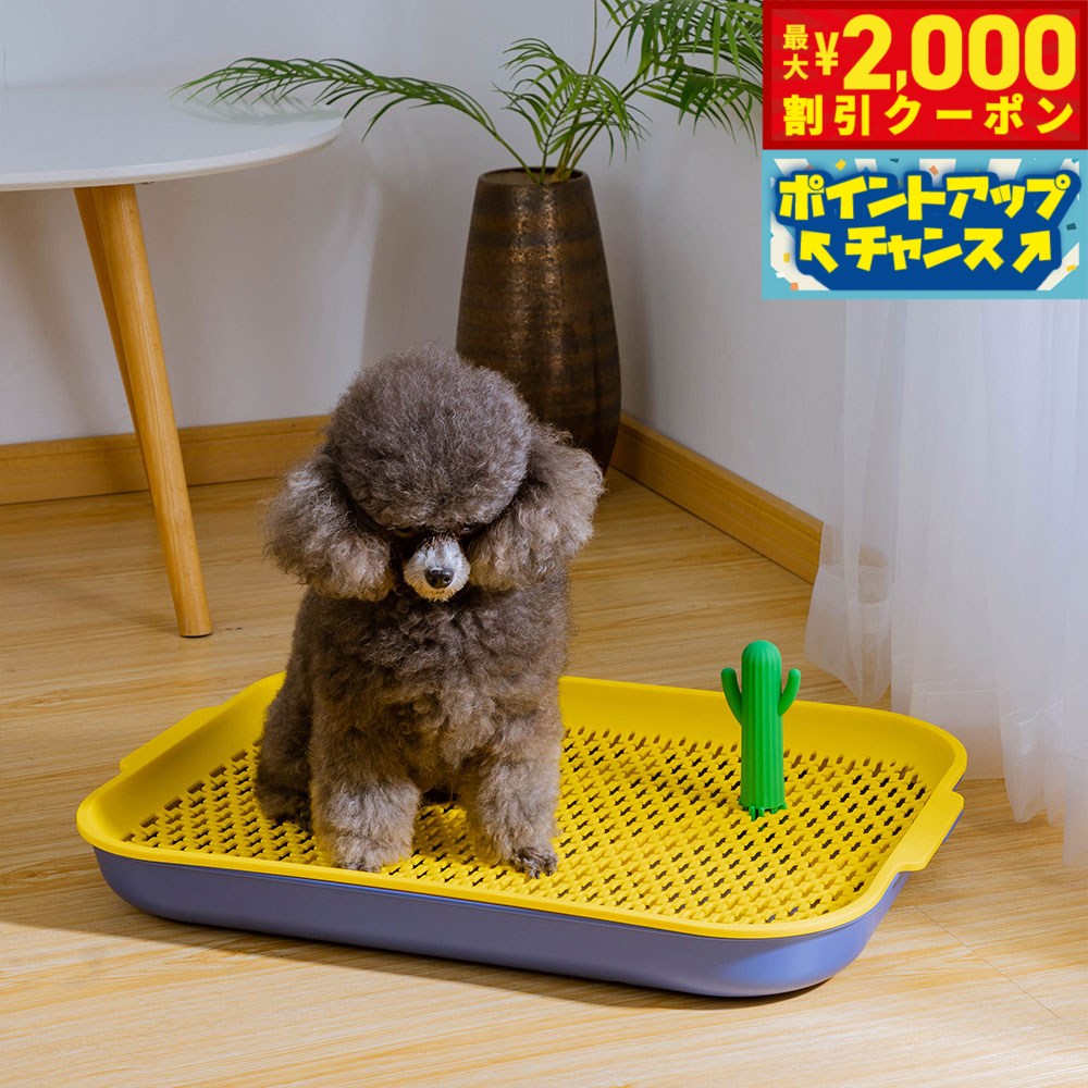 【最大2000円OFFクーポン！＆店内ポイント最大52倍！本日限定！】Petifam ペティファーム オアシスドッグトイレ レギュラー イエロー