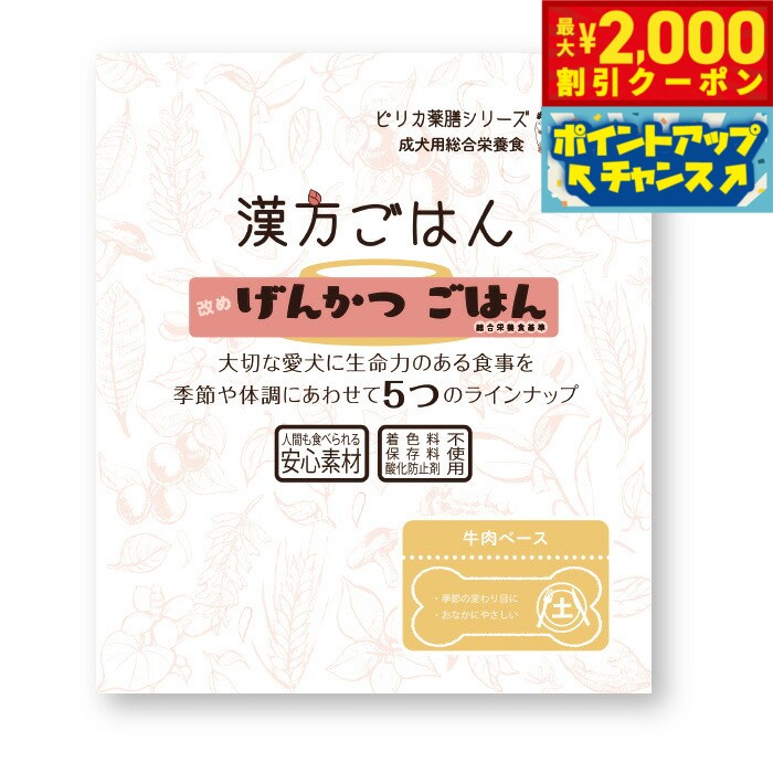 【最大2000円OFFクーポン！＆店内ポイント最大52倍！本日限定！】漢方ごはん改めげんかつごはん レトルトタイプ 土（牛肉ベース） 80g ドッグフード ウェットフード 無添加