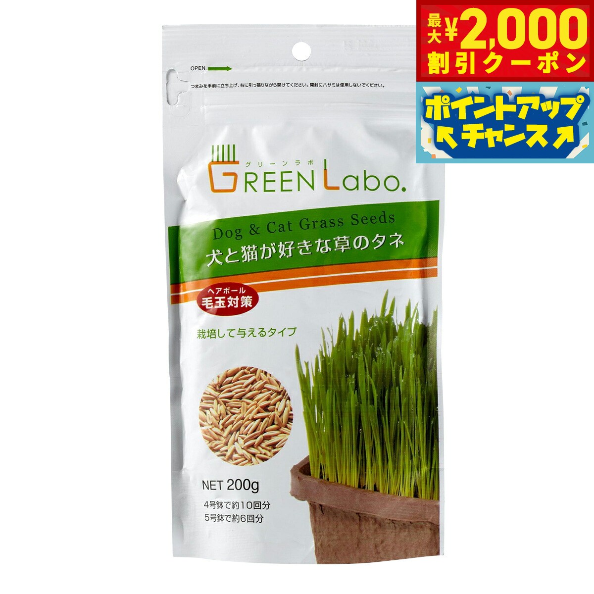 【最大2000円OFFクーポン！＆店内ポ�