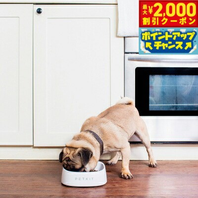 塑胶 - 【最大2000円OFFクーポン！＆店内ポイント最大51倍！マラソン限定！】ペットキット PETKIT スケール フィーディングボウル S ホワイト 450ml 犬 猫 フードボウル 食器 餌皿 計量 体重管理 健康管理 水洗いOK
