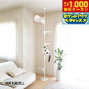 【8/1限定!1000円OFFクーポン配布】【レビュー特典あり】OPPO オッポ キャットタワー 突っ張り スリム 省スペース キャットフォレスト ツー Cat...