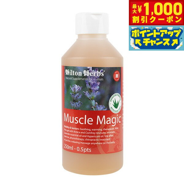 【9/1限定！1000円OFFクーポン！】ヒルトンハーブ フィトソルブ 500ml