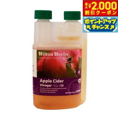 【2000円OFFクーポン！＆店内ポイント最大52倍！マラソン限定】ヒルトンハーブ アップルサイダービネガー 250ml