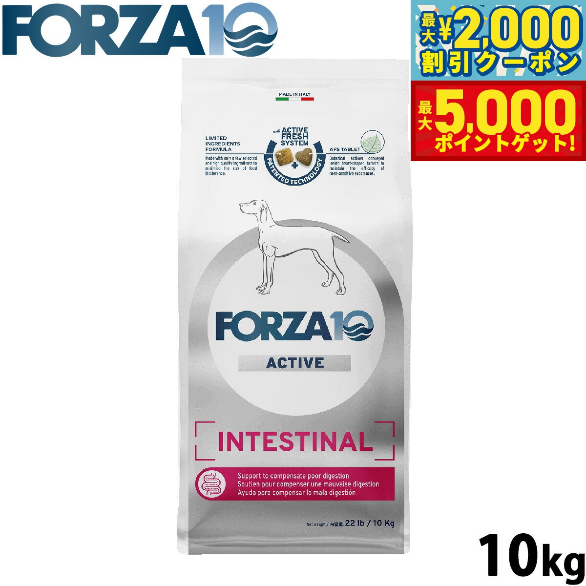 【最大2000円OFFクーポン＆ポイントさらに+5倍】フォルツァ10 Forza10 ドッグフード インテスティナルアクティブ ミディアム 胃腸ケア用食事療法食 10kg 無添加 成犬 高齢犬