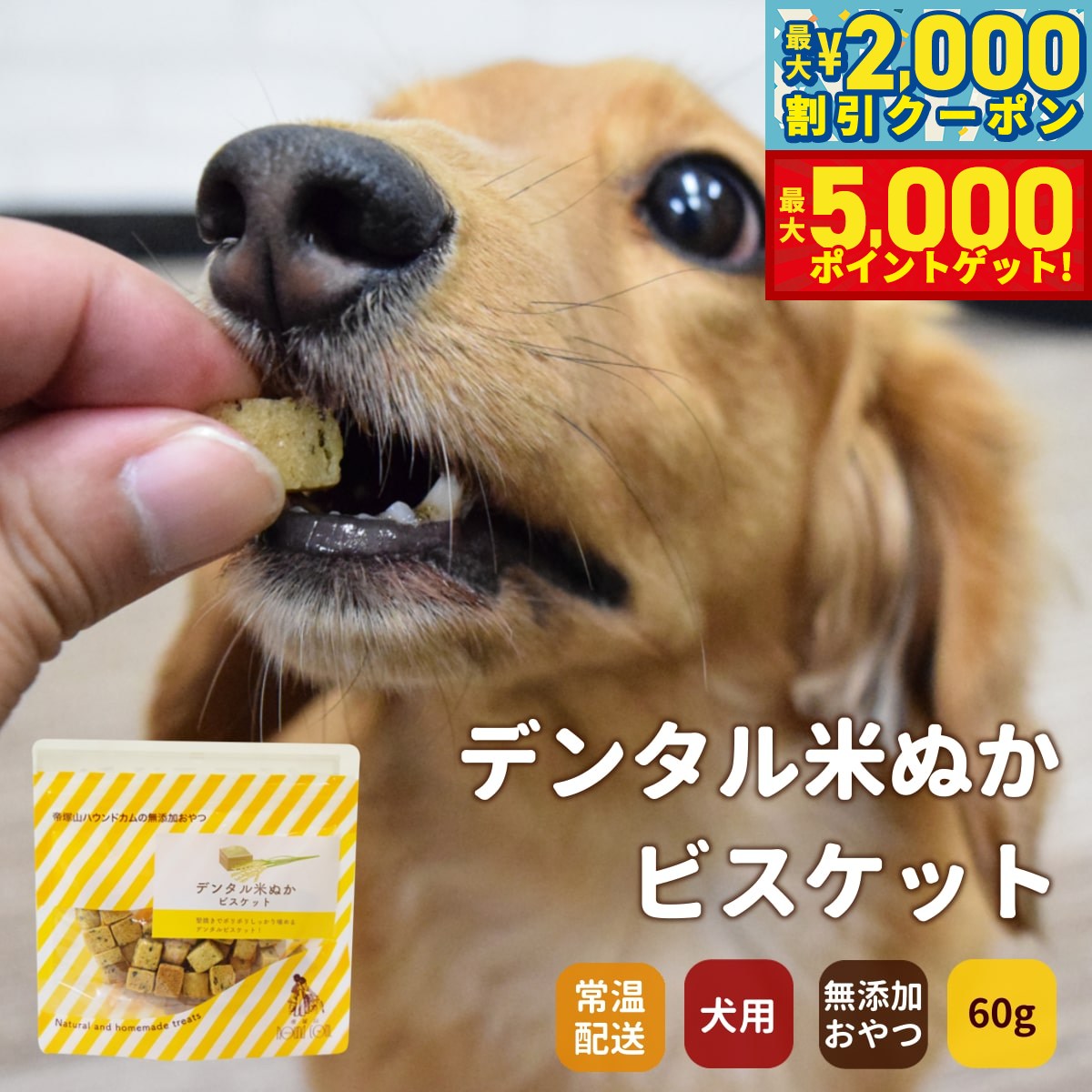 【最大2000円OFFクーポン＆ポイントさらに+5倍】GLORY DOG＆EARTH デンタル米ぬかビスケット 60g