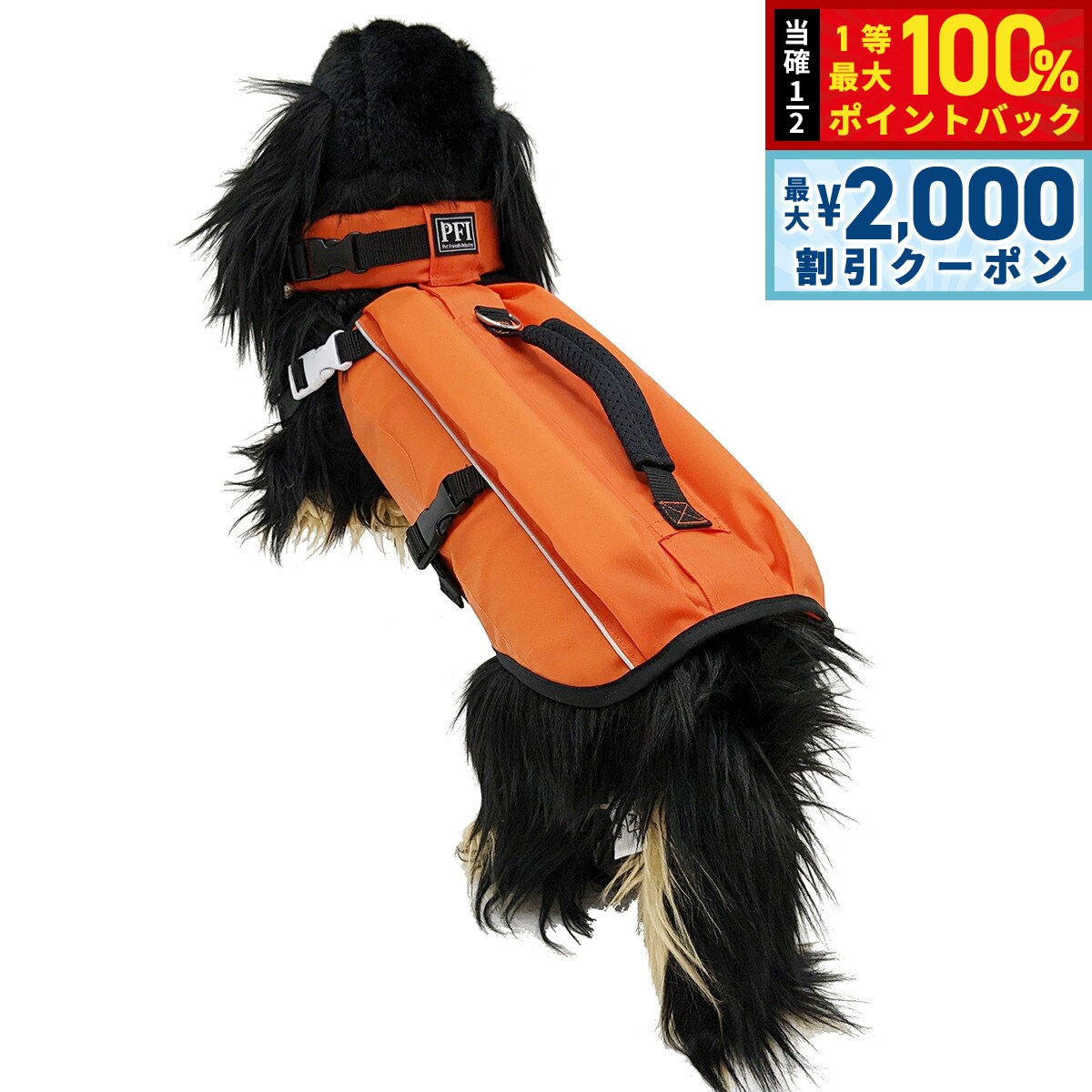 12/5ꡪ100ݥȥХå2000OFFݥPFI եƥ󥰥٥ 饤ե㥱å S åȡ̵