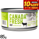 ペットカインド カナダフレッシュ キャットウェット ビーフ SAP 85g 猫 キャットフード ウェットフード 缶詰 総合栄養食 全猫種 全年齢 合成保存料 人工香料 着色料不使用 家禽肉不使用