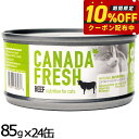 ペットカインド カナダフレッシュ キャットウェット ビーフ SAP 85g×24缶 猫 キャットフード 缶詰 総合栄養食 全猫種 全年齢 合成保存料 人工香料 着色料不使用 家禽肉不使用