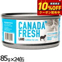 ペットカインド カナダフレッシュ キャットウェット ラム SAP 85g×24缶 猫 キャットフード 缶詰 総合栄養食 全猫種 全年齢 合成保存料 人工香料 着色料不使用 家禽肉不使用