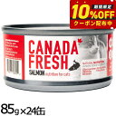 ペットカインド カナダフレッシュ キャットウェット サーモン SAP 85g×24缶 猫 キャットフード 缶詰 全猫種 全年齢 合成保存料・人工香料・着色料不使...