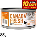ペットカインド カナダフレッシュ キャットウェット ダック SAP 85g 猫 キャットフード ウェットフード 缶詰 総合栄養食 全猫種 全年齢 合成保存料不使用 人工香料 着色料不使用