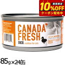 ペットカインド カナダフレッシュ キャットウェット ダック SAP 85g×24缶 猫 キャットフード ウェット 缶詰 総合栄養食 全猫種 全年齢 合成保存料・...