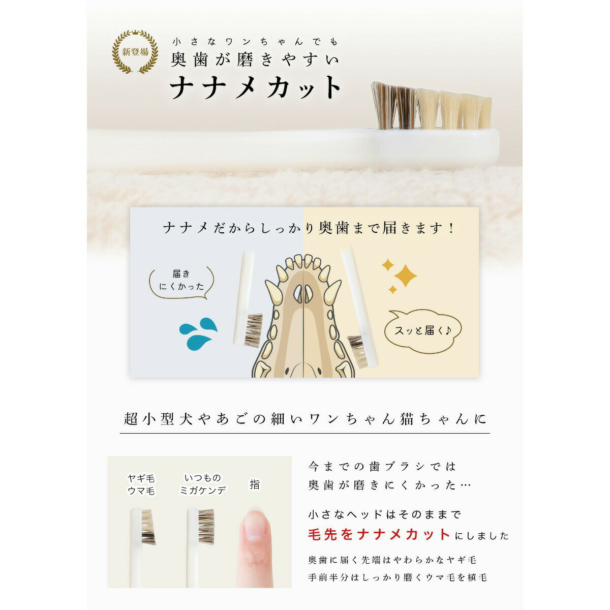 �ں���2000��OFF�����ݥ󡪡�Ź��ݥ���Ⱥ���54�ܡ������ѡ�SALE����MIGAKENDE ���餫��ŷ���ӻ��֥饷 �ߥ������ �Фᥫ�åȿ��ӡʥ䥮�����ޡ� ��������