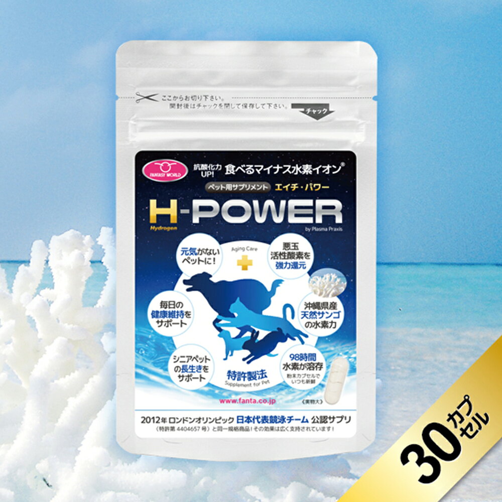 【店内ポイント最大52倍！本日限定！】ファンタジーワールド ペット用 栄養補助食品 サプリメント H-POWER エイチ パワー 30カプセル 水素系サプリメント マイナス水素イオン neel-dog-10006551 ドッグニール サンプル画像2