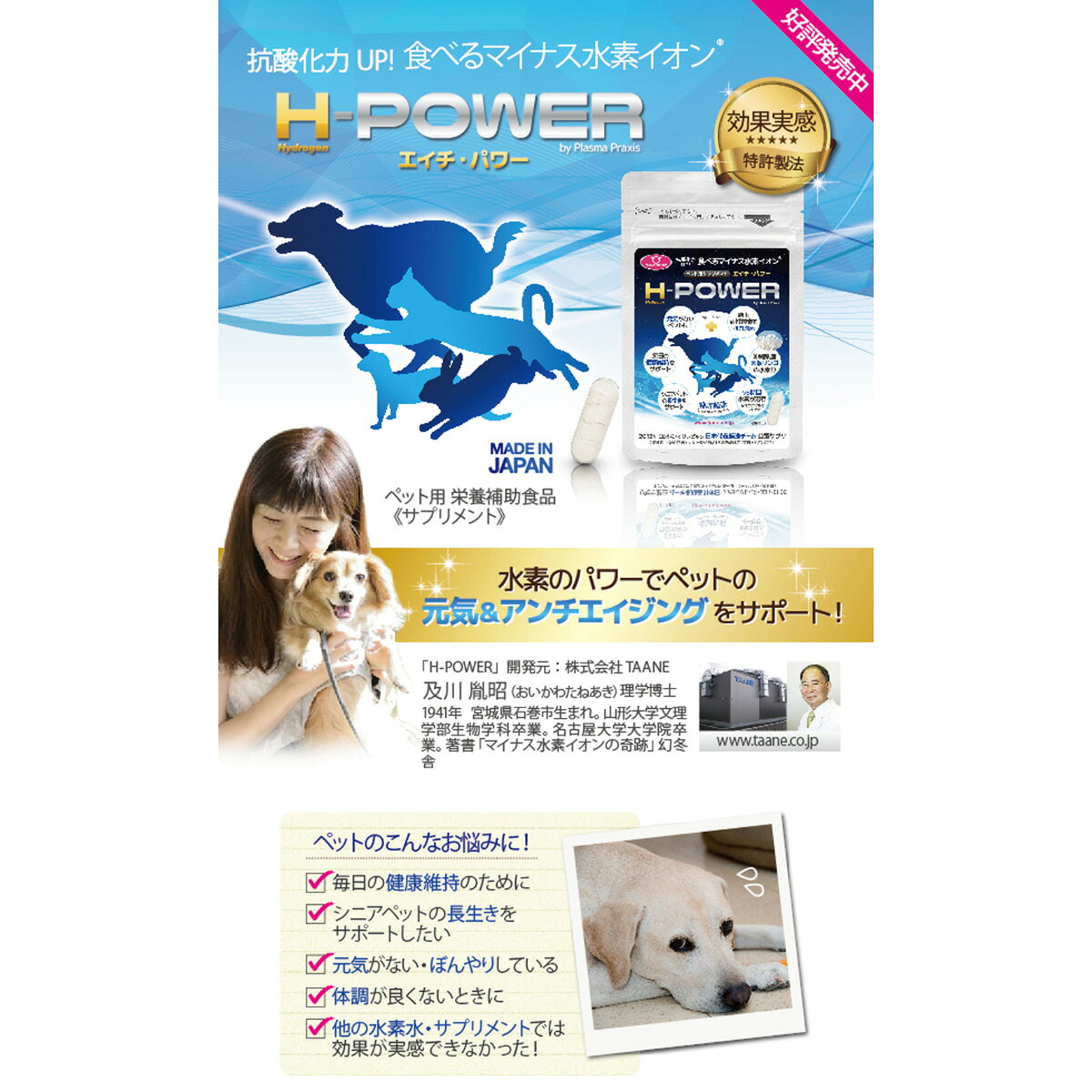 【店内ポイント最大52倍！本日限定！】ファンタジーワールド ペット用 栄養補助食品 サプリメント H-POWER エイチ パワー 30カプセル 水素系サプリメント マイナス水素イオン neel-dog-10006551 ドッグニール サンプル画像3