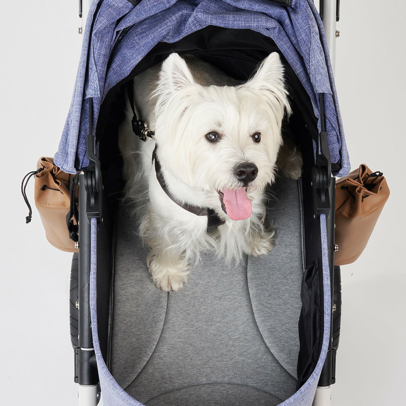 ��Ź��ݥ���Ⱥ���39�ܡ��������ꡪ�ۥ����Х��� �ե��� �ڥå� AIRBUGGY FOR PET �ɡ���3 �ޥå� �顼�� �ǥ��॰�졼 �ڥåȥХ��� �� ǭ