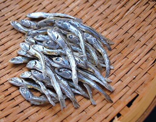 �ں���2000��OFF�����ݥ󡪡�Ź��ݥ���Ⱥ���52�ܡ��ޥ饽����ꡪ�ۥɥåȤ�� ���δ������亮 8g ���Ѥ���� ̵ź�� �� �ˤܤ�