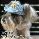 犬の帽子 ガーデンオブエデン D&Hテンガロンハット M ブリーチヒッコリー おしゃれ 可愛い 小型犬