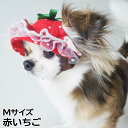 犬の帽子 ガーデンオブエデン いちごフリルハット Mサイズ 赤いちご(4)