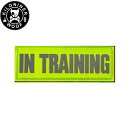 KILONINER キロナイナー カスタマイズ用パッチ Reflective High Visibility IN TRAINING Patch Green ワ...