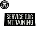 KILONINER キロナイナー カスタマイズ用パッチ SERVICE DOG IN TRAINING Patch ワッペン