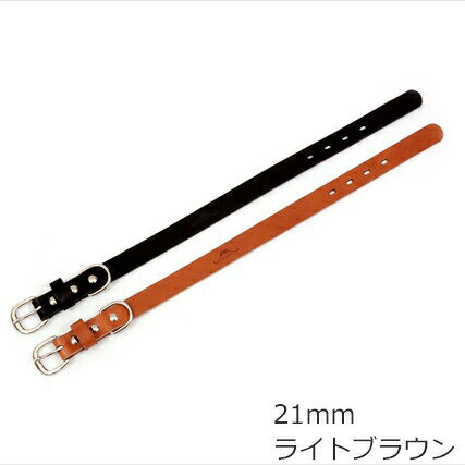 ��Ź��ݥ���Ⱥ���41�ܡ��������ꡪ�ۥ����� ���ڥ쥶�� ���顼�ʼ��ء� 21mm �饤�ȥ֥饦���ܳ�