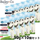 ベイリーコー Bailey+Co ドッグフード フリーズドライ コンプリート ラム 50g×10個セット